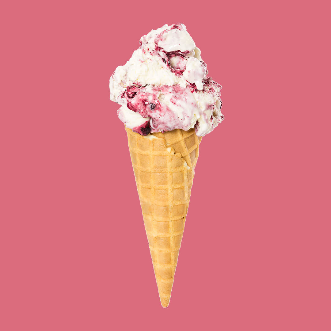 Yoghurt Woudvruchten