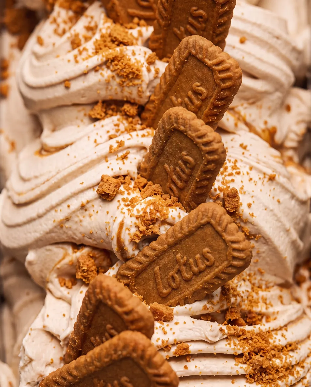 Speculoos