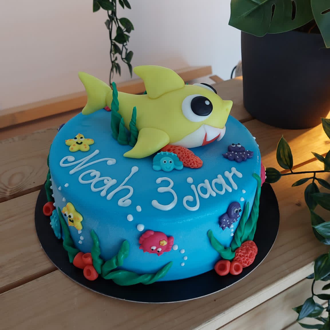Maatwerk ijstaart afgewerkt met rolfondant